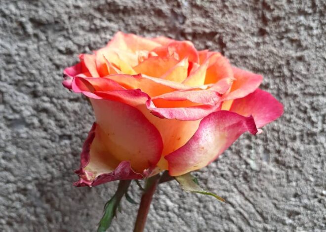 DAILY LOG | Day 1 of Millions More