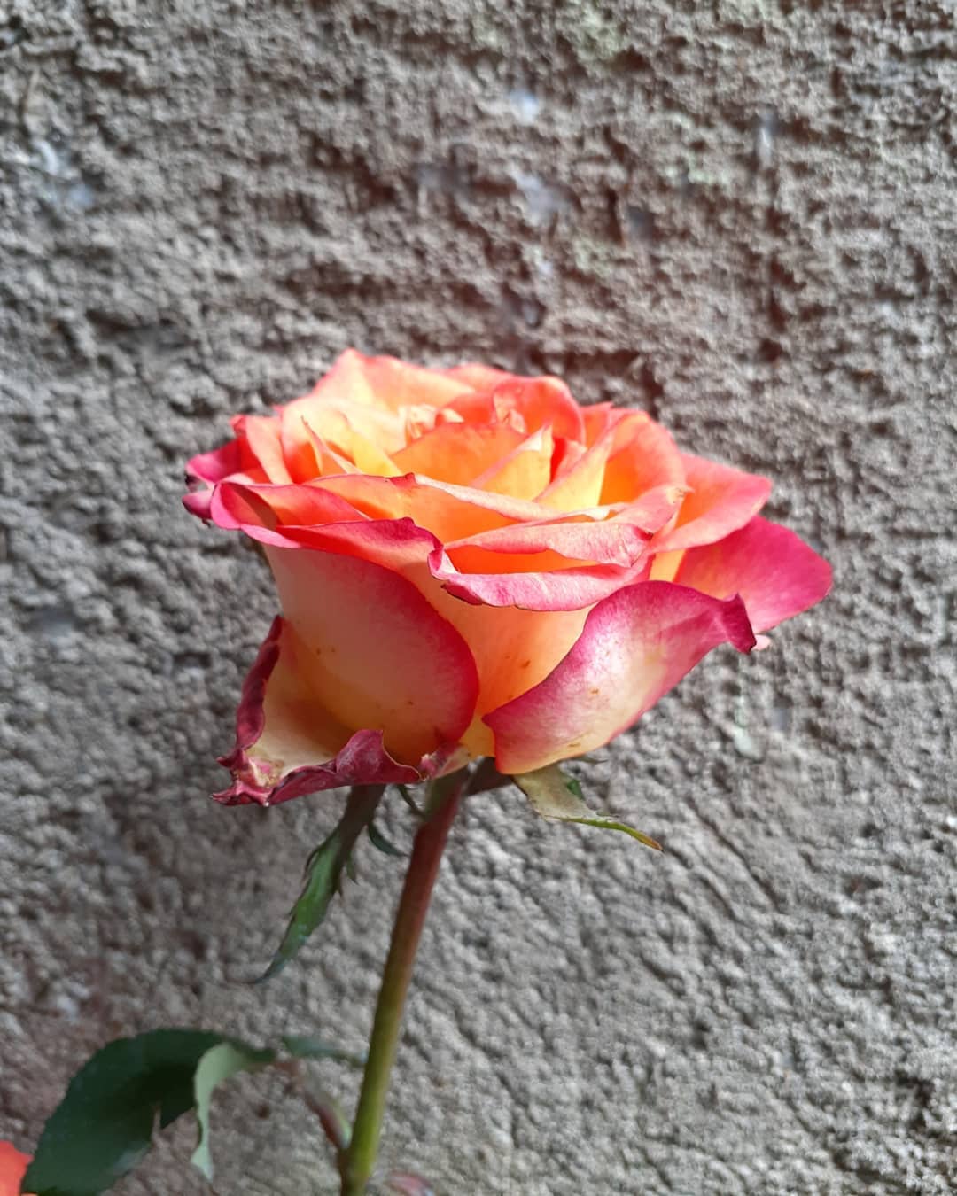 DAILY LOG | Day 1 of Millions More